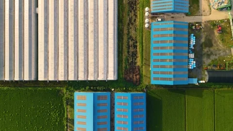 Aerial top down flyover blue roof cattle barn and greenhouse Gangneung Stock Footage 343983960