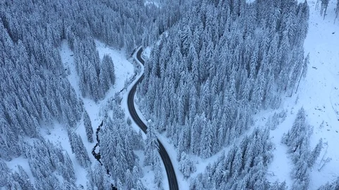 Aerial Top Down Flyover Shot of Winter Forest. Trees Covered with Snow Stock Footage 102658209