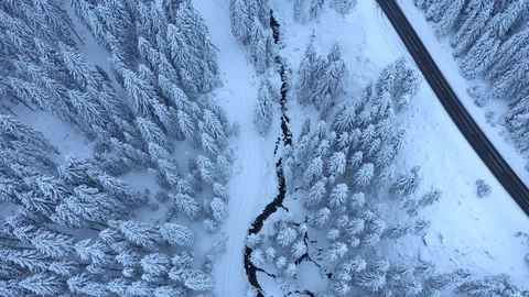 Aerial Top Down Flyover Shot of Winter Forest. Trees Covered with Snow Stock Footage 102658272