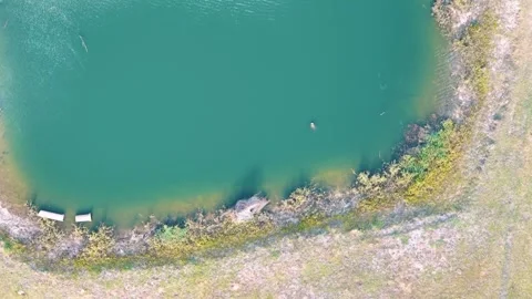 Aerial top down of forest and pond running trail in suburban Baldwin Jackso.. 스톡 동영상 319339120