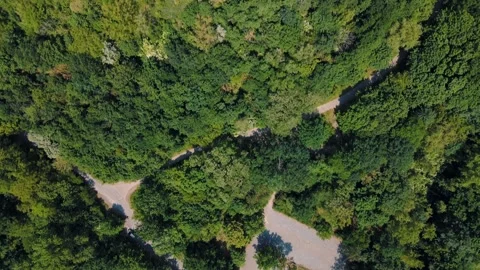 Aerial top down forest view in Grunewald Berlin 스톡 동영상 249104811