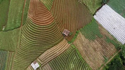 Aerial Top Down Forward Drone Shot of Rice Terraces in Majalengka Stockbeeldmateriaal 330163655