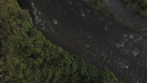 Aerial Top Down Forward Flight Over Turbulent River Diagonally Dividing Forest i Stock Footage 325327843