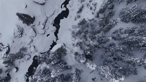 Aerial Top Down Forward Flight Over Snowy Pine and Birch Forest Revealing River Video stock 328961004