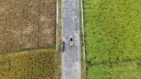 Aerial top-down forward over woman without helmet driving Vespa on rural Stockbeeldmateriaal 171800054