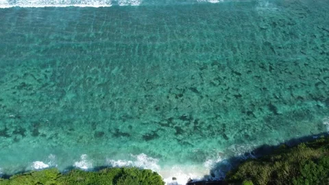Aerial top down forward over Green Bowl Beach waves Stock Footage 329133483