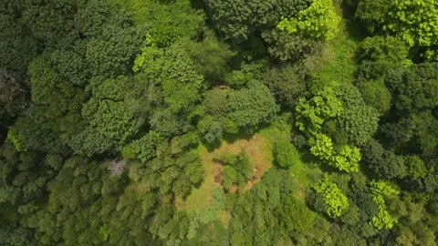 Aerial top down of graffiti road in summer abandoned coal town Centralia Pe.. Stock Footage 291558736
