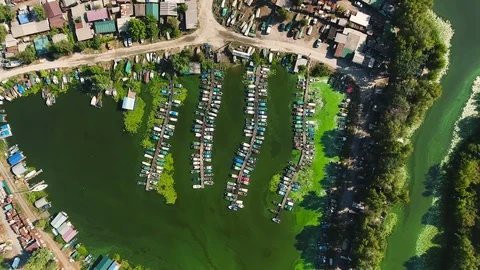 Aerial top down of green algae in harbor water near fishermen village Stock Footage 114120071