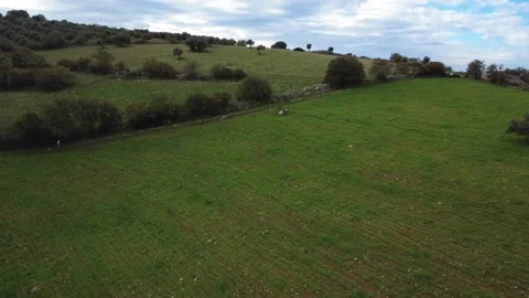 Aerial top down of green hillside field with person hiking uphill path Stock Footage 337460411