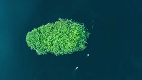 Aerial top down idyllic view of beautiful green island on large lake Stock Footage 136386703