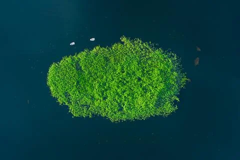 Aerial top down idyllic view beautiful green island on water surface large lake Stock Photos