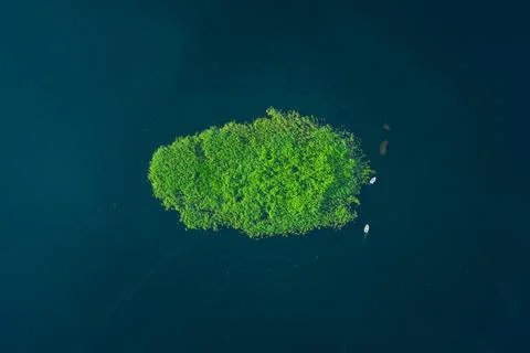 Aerial top down idyllic view beautiful green island on water surface large lake Stock Photos