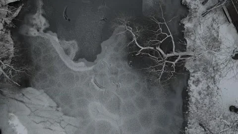 Aerial top down landscape above a melting frozen river and fallen tree Stoc.. 스톡 동영상 243849596