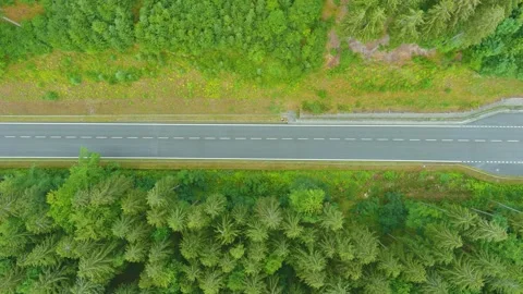 Aerial top-down mountain road, vicinity of Kouty nad Desnou, Olomouc region 스톡 동영상 248228450