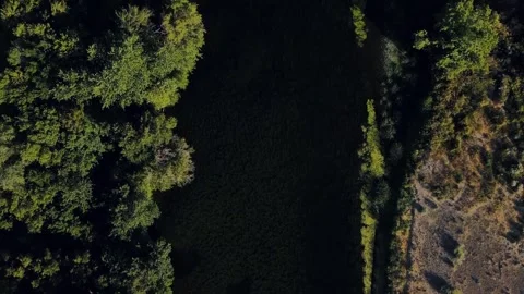 Aerial top down of nature meadow during summer in Yakima Valley Kennewick R.. Video stock 293319906