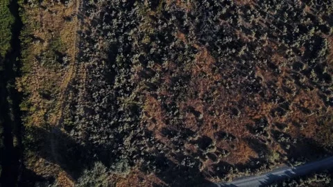 Aerial top down of nature meadow during summer in Yakima Valley Kennewick R.. Stock-Footage 293320405
