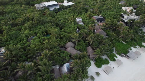 Aerial Top down orbit shot of cabins and huts surrounded by palm trees in Stock Footage 250318266