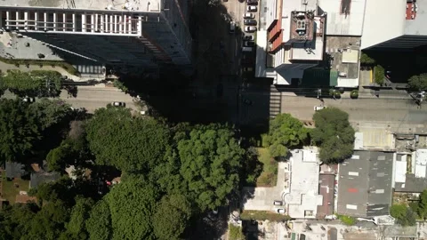 Aerial top down over tree tops and skyscrapers in Guatemala City Stock Footage 329455239