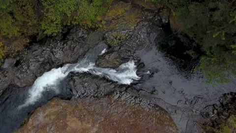 Aerial top down overhead shot of river flowing in the forest. Stockbeeldmateriaal 186901918