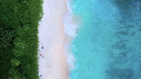 Aerial Top Down Pan Empty Pink White Sand Beach Seychelles Video stock 334264152