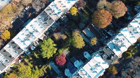Aerial top down Prospect Heights Brooklyn roofs and roads city during fall .. Stock Footage 284985061