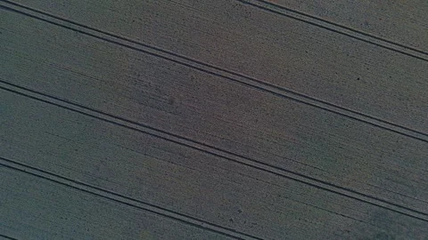 Aerial top down of rapeseed fields during summer on the island of Rgen German 스톡 동영상 250109359