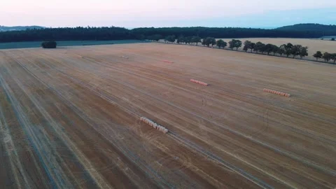 Aerial top down of rapeseed fields during summer on the island of Rgen German 스톡 동영상 250110407