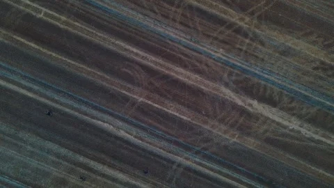 Aerial top down of rapeseed fields during summer on the island of Rgen German 스톡 동영상 250110459