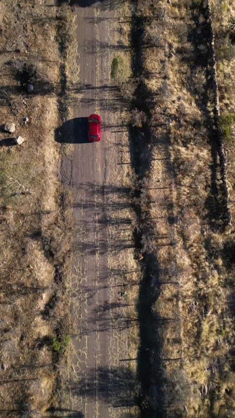 Aerial top down of a red car on a dirt country road, Aguascalientes, Mexico 스톡 동영상 341548080