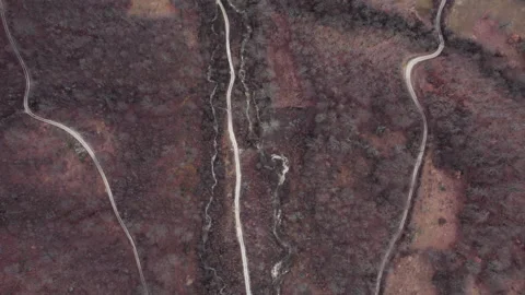 Aerial top-down river and forest paths Stock Footage 333265183