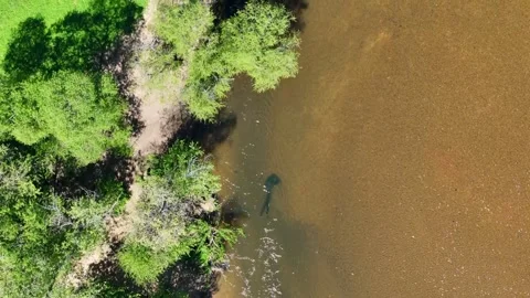 Aerial top down of River Road Park water during summer in Fredericksburg ci.. 스톡 동영상 318674174