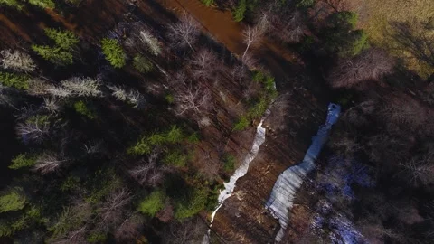 Aerial top down river through boreal forest in Latvia at spring melt Stock Footage 331152623