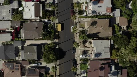 Aerial Top Down Road View With Long Palm Shadows and Slow Stop Stock Footage 346656352