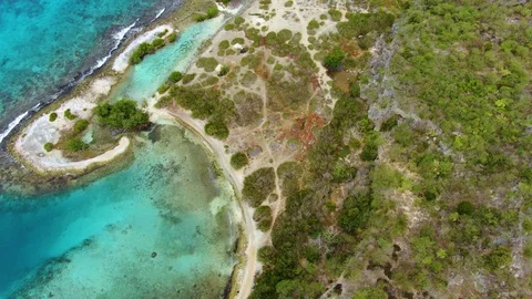 Aerial top-down of Rocky Tropical Beach Stock Footage 102611853