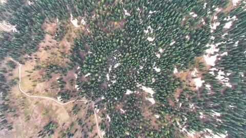 Aerial top-down rotating shot of dense green pine forest in Gulmarg. Stock-Footage 333801491