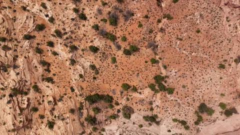 Aerial-Top down-Rugged desert terrain dotted with cedar trees and sage Stock Footage 273534622