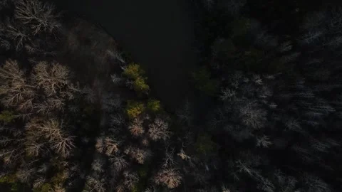 Aerial top down rural forest winter sunset after Hurricane Helene in Evans .. Stock Footage 317016293