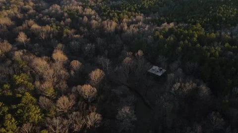 Aerial top down rural forest winter sunset after Hurricane Helene in Newton.. Video stock 317016981