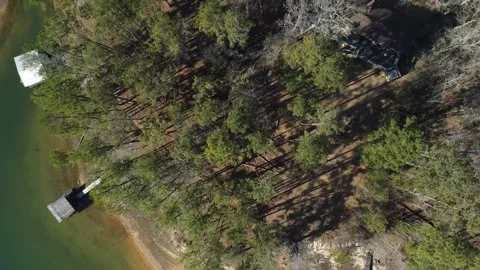 Aerial top down rural forest in winter after Hurricane Helene in Appling Au.. Stock Footage 317017045