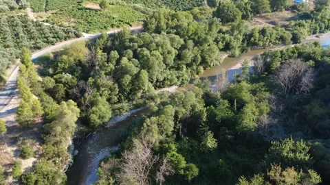 Aerial top down of a rushing forest river beside mountain farmlands Stock Footage 343962375