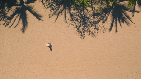 Aerial top down sand beach texture with palm trees Stock Footage 261180902