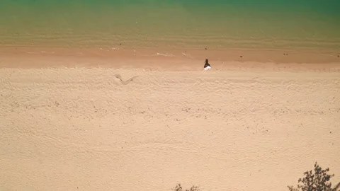 Aerial top down sand beach texture water waves Stock Footage 279584504