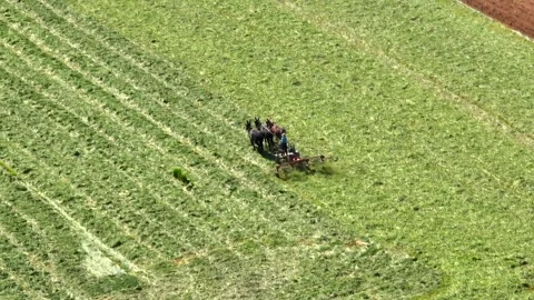 Aerial top down shot of Amish Farmer Rak... | Stock Video | Pond5