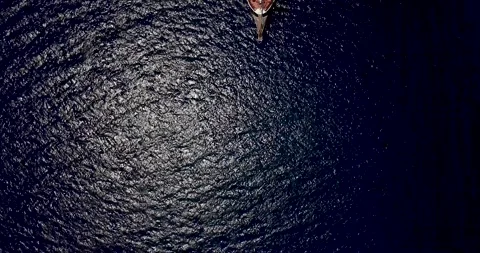 Aerial Top Down shot on attraction boat for sport activity in the dark blue Stock Footage 145534754