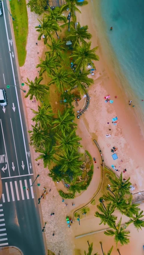 Aerial Top Down Shot of Beach Road and Palm Trees Hawaii Stock Footage 337927013