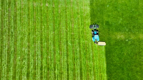 Aerial Top Down Shot Of Blue Tractor Mowing Green Grass Field Stock Footage 336709006
