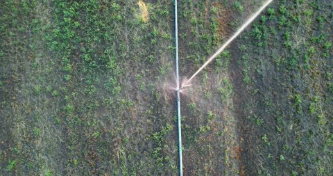 Aerial top down shot of corn field and w... | Stock Video | Pond5