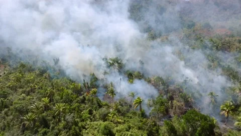 Aerial top down shot of dense smoke risi... | Stock Video | Pond5