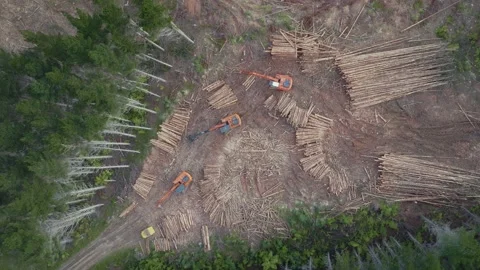 Aerial: top down shot of heavy logging machinery in the forest Video stock 230725817