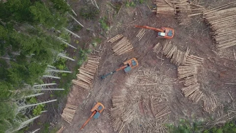 Aerial: top down shot of heavy logging machinery in the forest Video stock 230726136